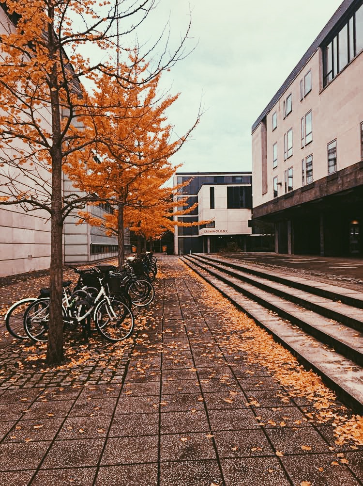 Autumn in Cambridge